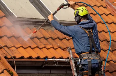 Démoussage et hydrofuge de toiture à Sainte-Marie-aux-Chênes